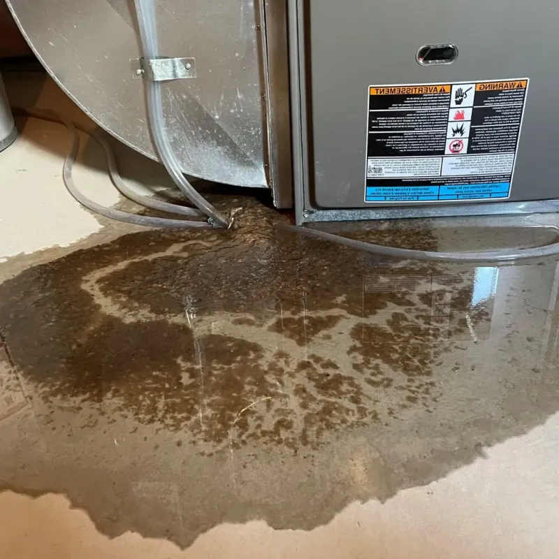 Pipe Burst and Leak Restoration in East Greenville, PA